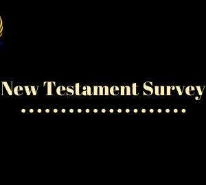 New Testament Survey